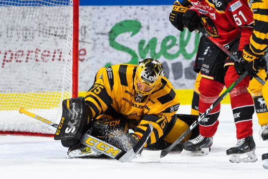 Skellefteås målvakt Arvid Söderblom