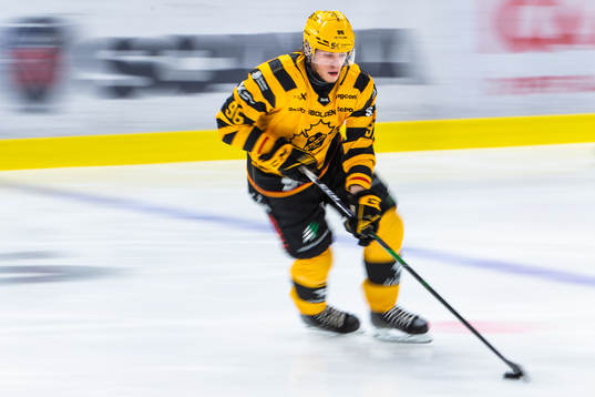 Skellefteås Rickard Hugg