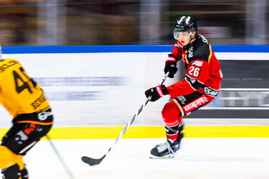 Luleås Radek Muzik