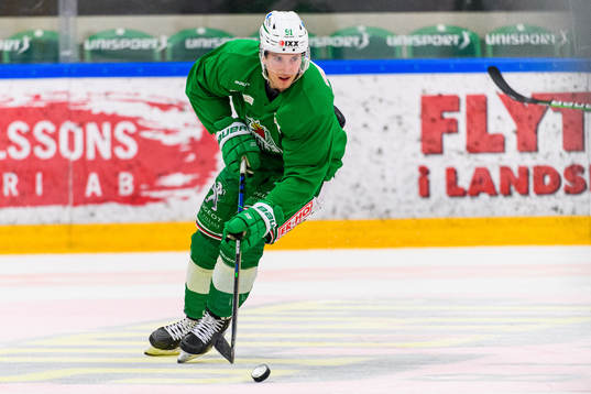 Bläddra bland fler bilder av Ishockey, SHL, Rögle, Träning 