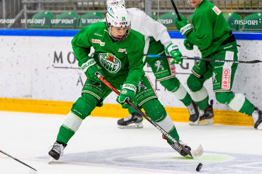 Marco Kasper