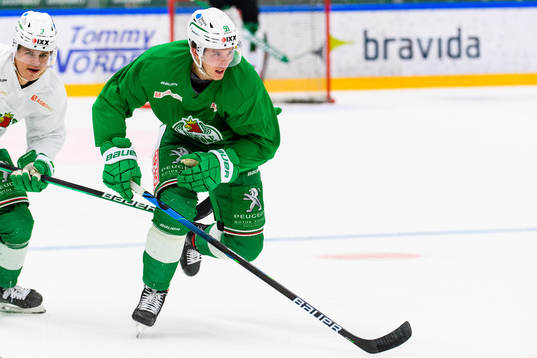 Adam Tambellini