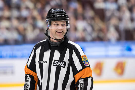 Domare Mikael Nord