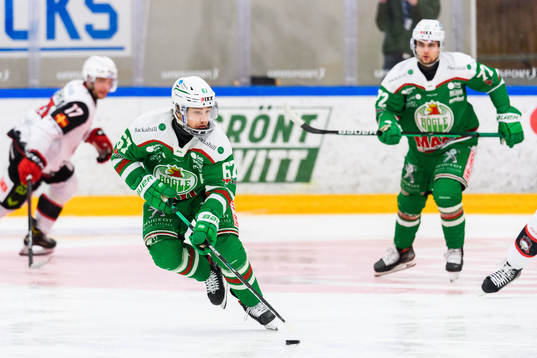 Rögles Leon Bristedt