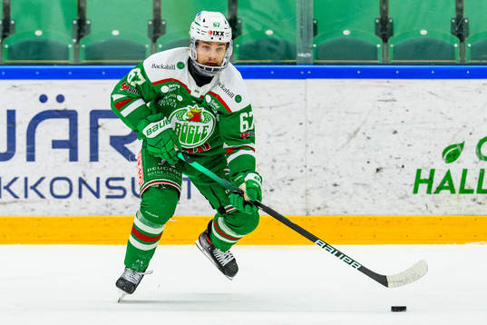 Rögles Leon Bristedt