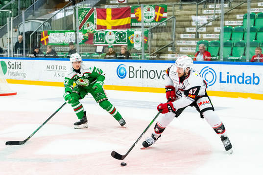 Rögles Samuel Jonsson och Malmö Redhawks Adam Johnson