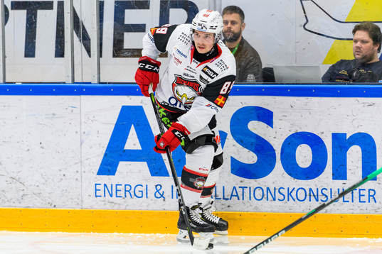 Malmö Redhawks Matt Puempel