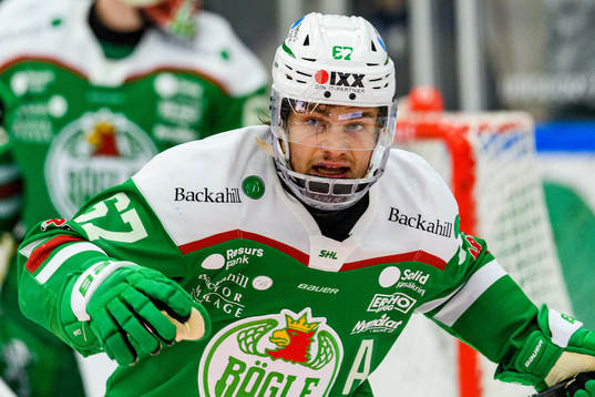 Rögles Leon Bristedt