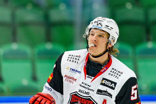 Malmö Redhawks Emil Sylvegård