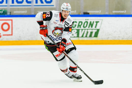 Malmö Redhawks Lars Bryggman