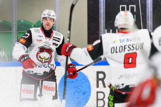 Malmö Redhawks Ponthus Westerholm jublar
