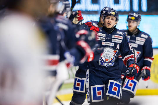 Linköpings Markus Ljungh jublar