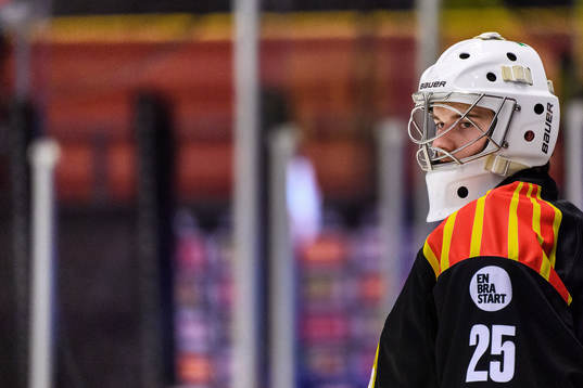 Brynäs målvakt Adam Matsson