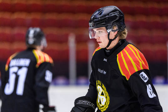 Brynäs Tom Hedberg
