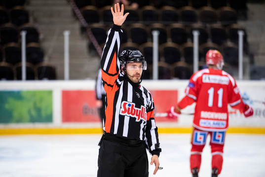 Domare Mattias Enroth