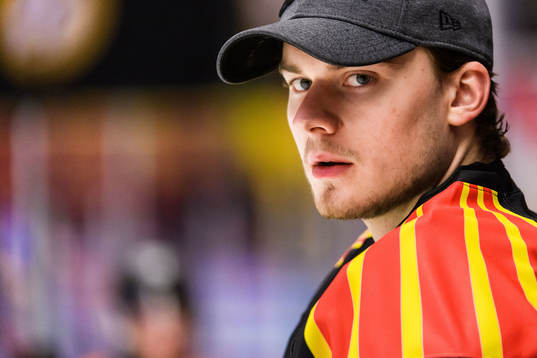 Brynäs målvakt Adam Matsson
