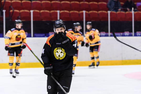 Brynäs Johan Alcén deppar