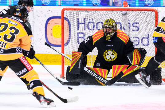 Brynäs målvakt Samuel Ersson
