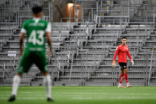 Hammarbys målvakt Oliver Dovin