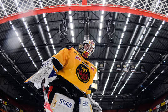 Bläddra bland fler bilder av Ishockey, SHL, Brynäs - Luleå