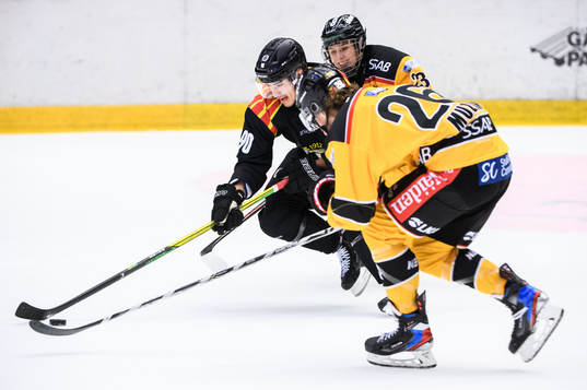 Brynäs Shane Harper