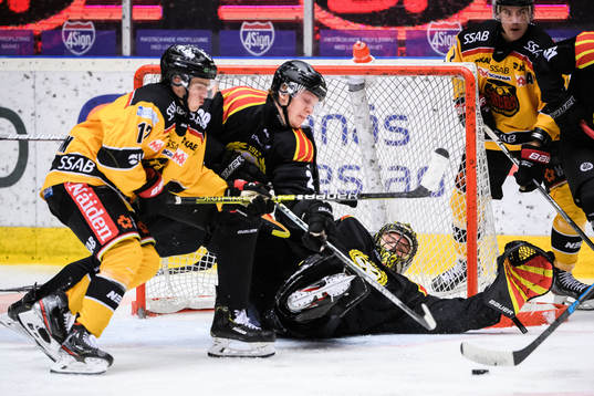 Brynäs målvakt Samuel Ersson