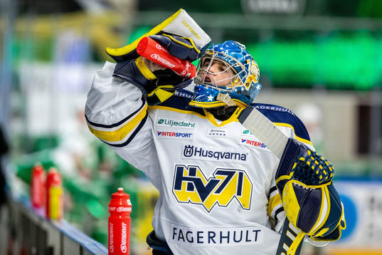 s målvakt Hampus Hedman