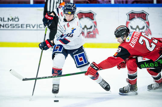 Linköpings Tyler Morley och Malmö Redhawks Eric Engstrand