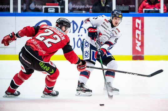 Malmö Redhawks Lars Bryggman och Linköpings Markus Ljungh