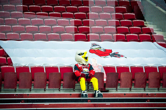Malmö Redhawks maskot Hawkan ensam på läktaren i Malmö