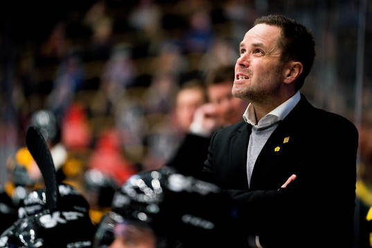 Skellefteås assisterande tränare Stefan Hedlund