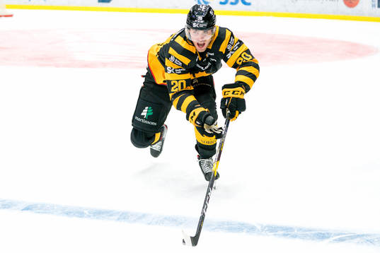 Skellefteås Roland McKeown