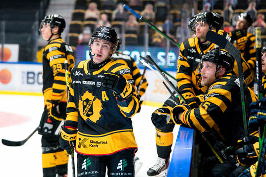 Skellefteås Andreas Wingerli jublar