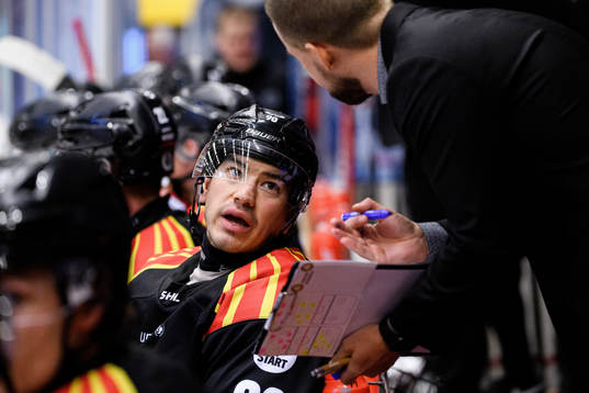 Brynäs Shane Harper