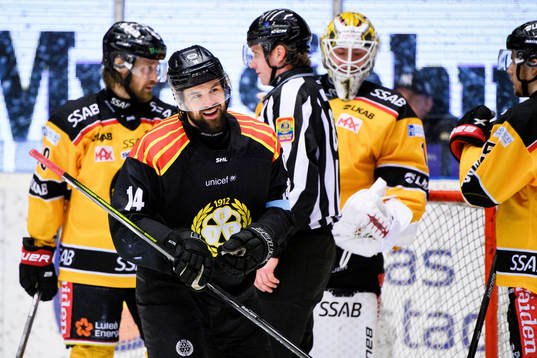 Brynäs Johan Alcén
