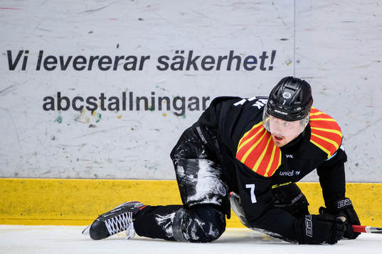 Brynäs Marcus Björk