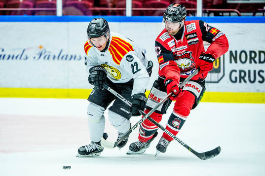 Brynäs Adam Pettersson mot Malmö Redhawks Ponthus
