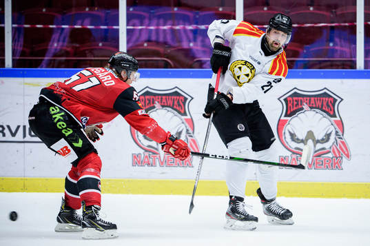 Malmö Redhawks Emil Sylvegård och Brynäs Patrik Berglund