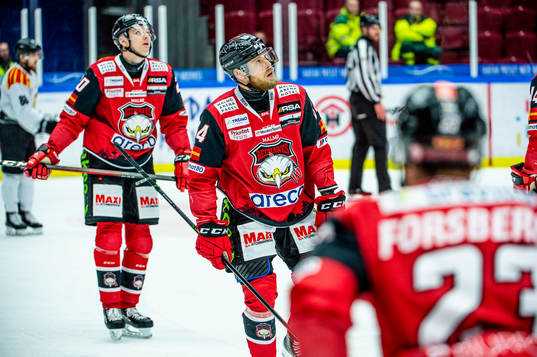 Malmö Redhawks Victor Backman deppar med lagkamraterna