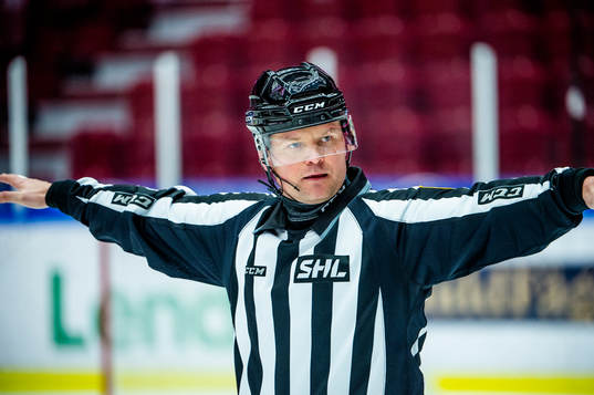 Domare Ludvig Lundgren