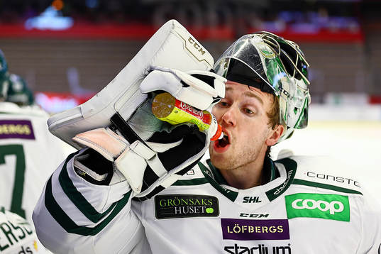 Färjestads målvakt Henrik Haukeland