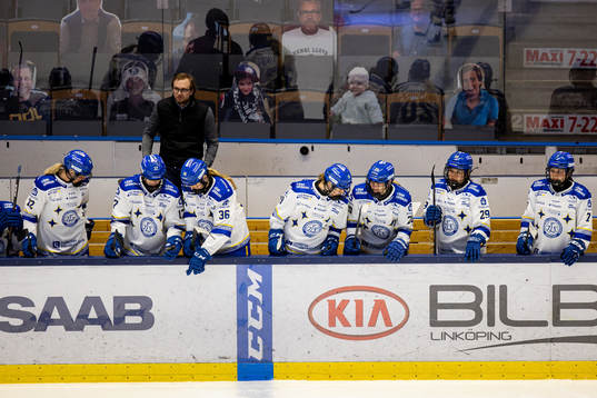 Leksands spelare