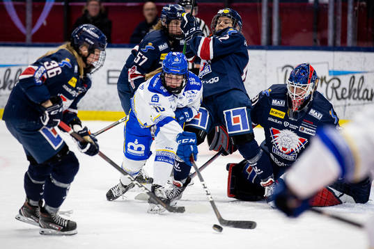 Leksands Shea Demale