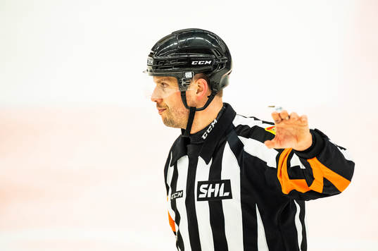 Domare Johan Magnusson