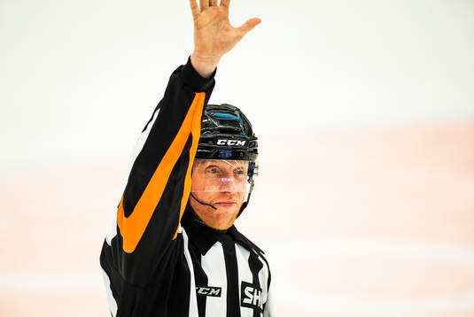 Domare Mikael Holm