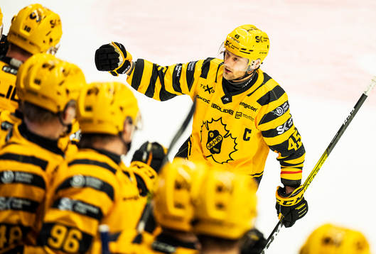 Bläddra bland fler bilder av Ishockey, SHL, Oskarshamn - Skellefteå