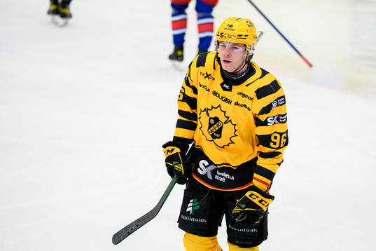 Skellefteås Rickard Hugg jublar