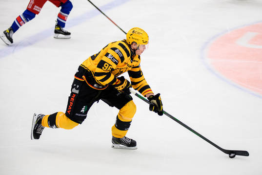 Skellefteås Rickard Hugg