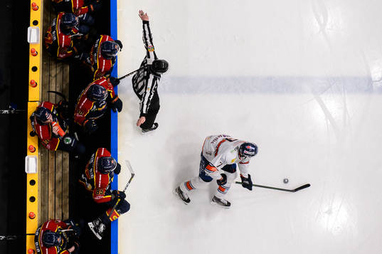 Bläddra bland fler bilder av Ishockey, SHL, Djurgården - Växjö