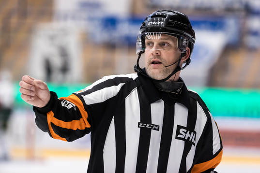 Domare Mikael Nord
